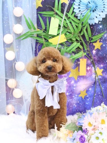 20250703モコくん